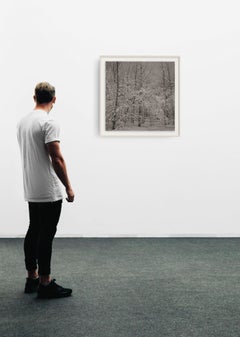 Snowy Woods, photorealist graphite landscape drawing, 2023
