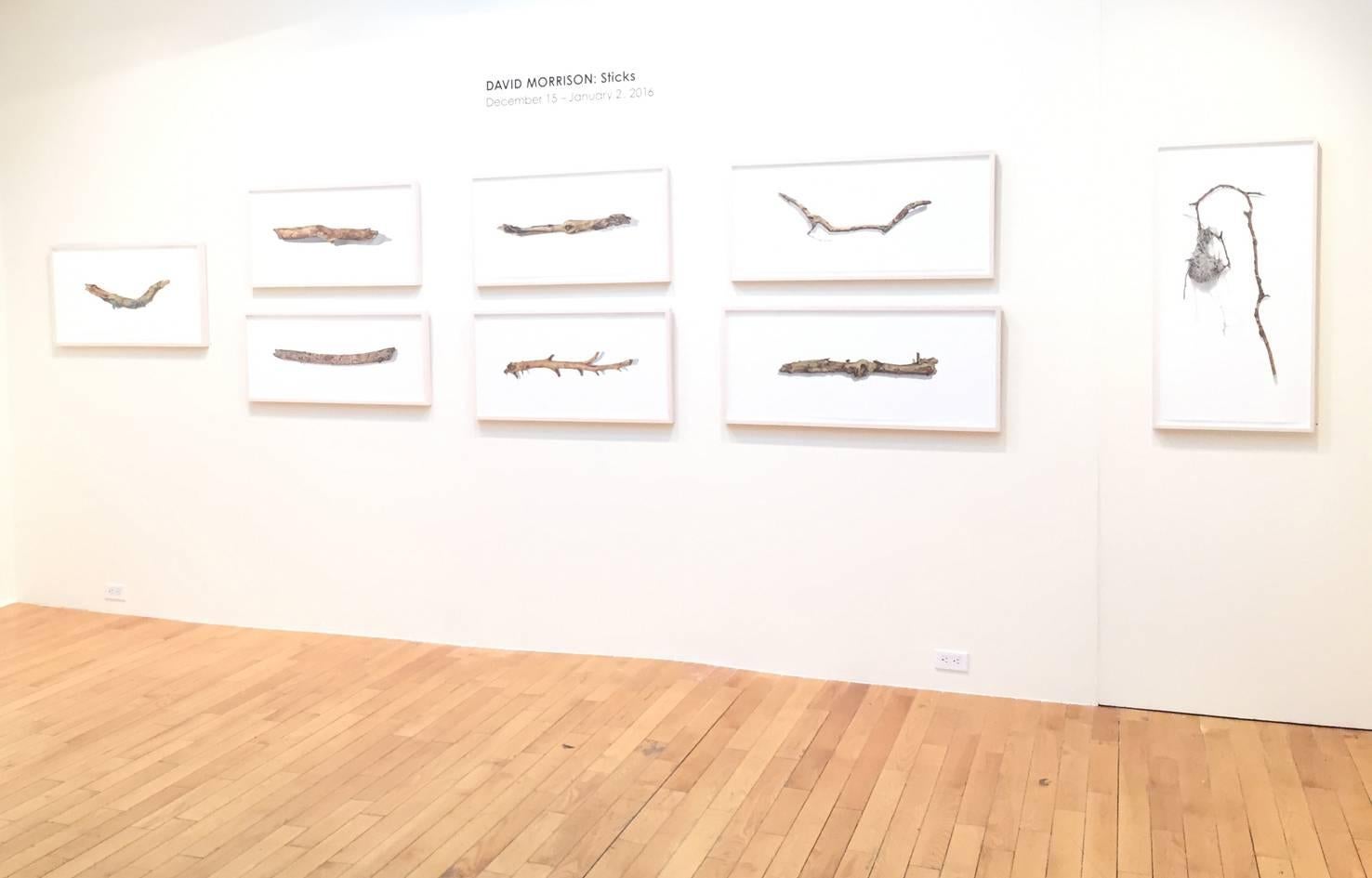 David Morrison, Stick Series No. 11, Fotorealistische Buntstiftzeichnung, 2015 im Angebot 1