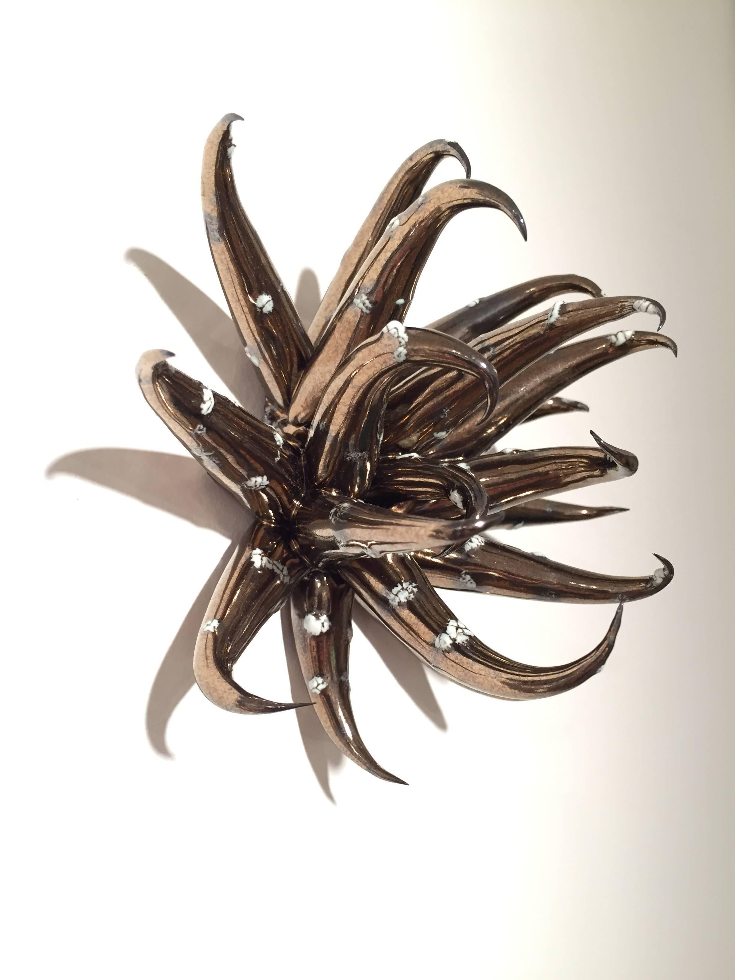 Christopher Adams creates sculptures that play on biological concepts, specifically adaptive radiation, whereby a pioneering organism enters an untapped environment and then differentiates rapidly without departing too much from its original form.