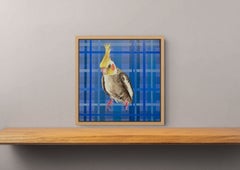 Contemplation, Yellow Cockatiel On Blue Plaid, Contemporary Bird Painting