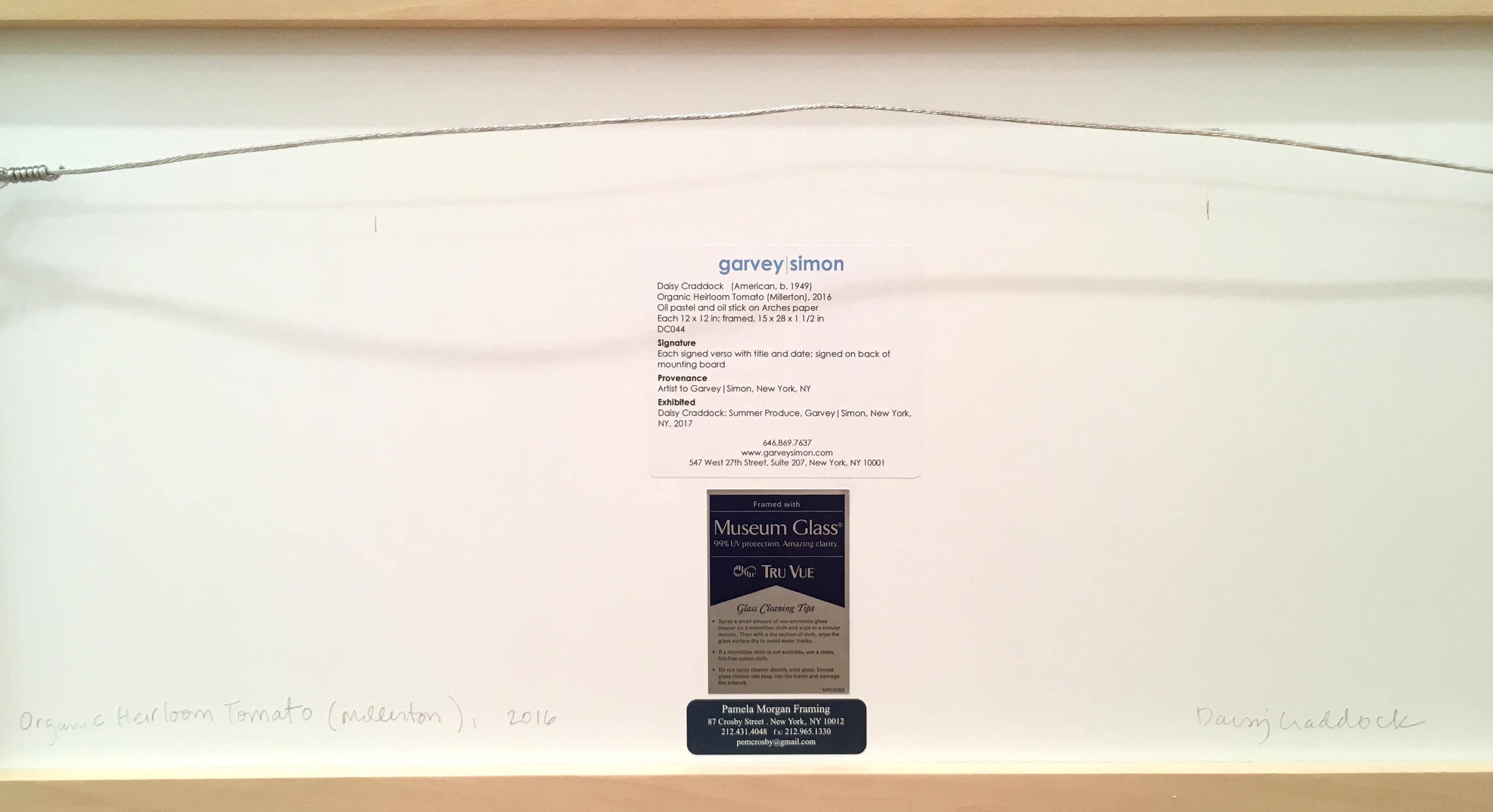 Daisy Craddock, Organic Heirloom Tomato (Millerton), Abstract oil pastel, 2016 3