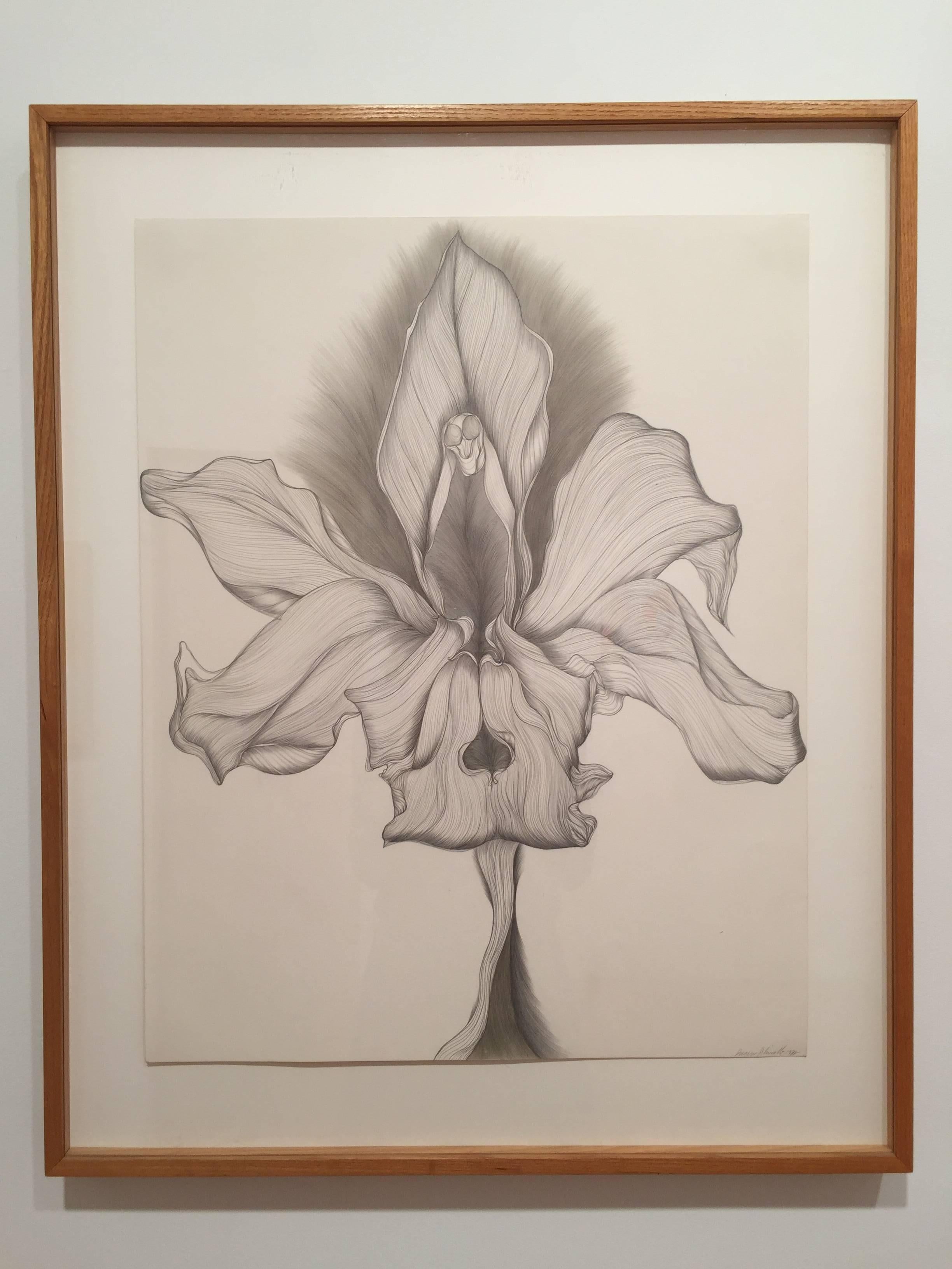 Susan Schwalb Still-Life - Orchid Transformation #2