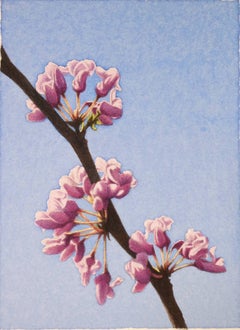 Frederick Brosen, Eastern Redbud, Realist graphite and watercolor painting, 2017