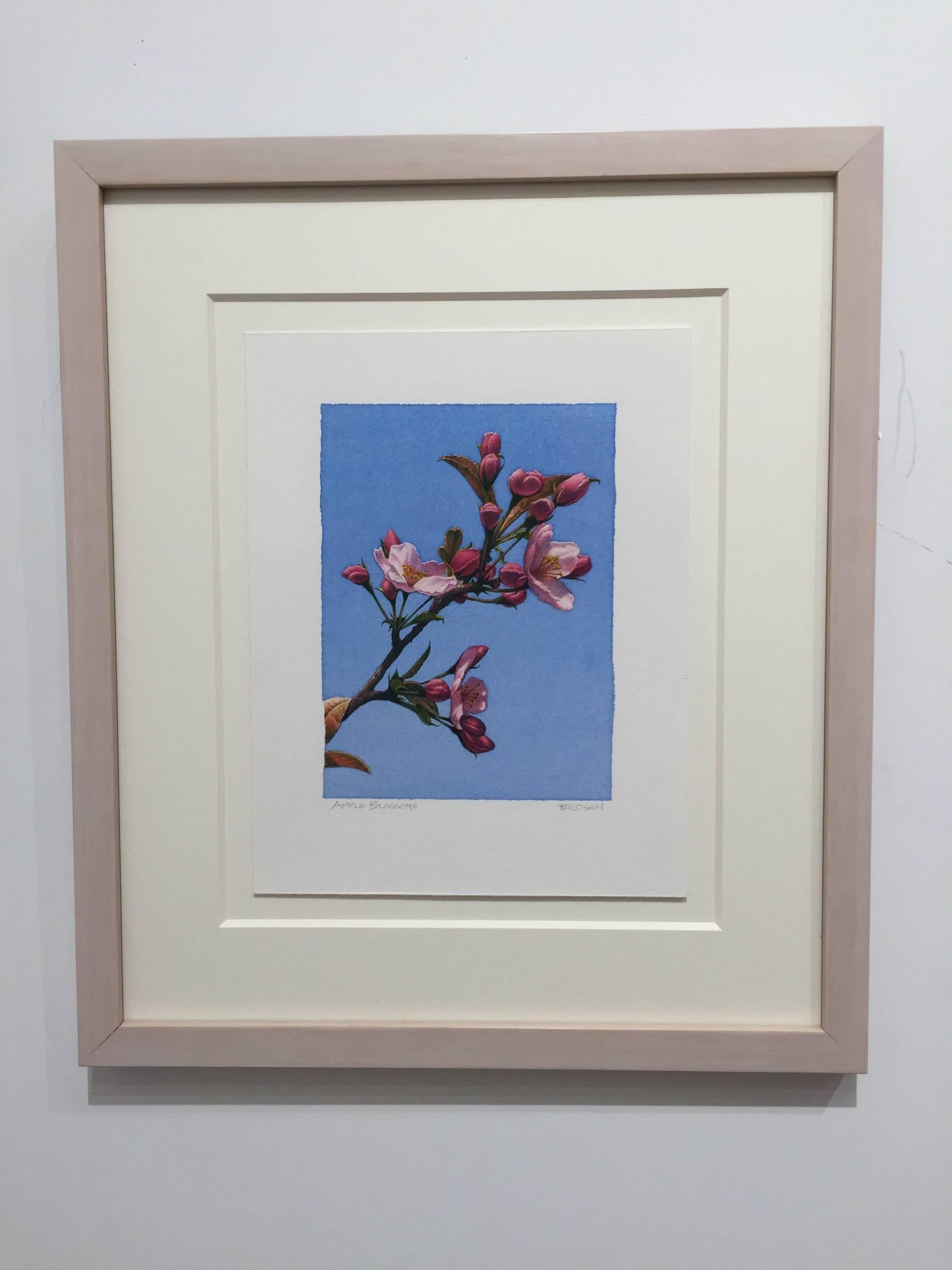 Frederick Brosen, Apple Blossoms, Realist graphite and watercolor painting, 2017 2
