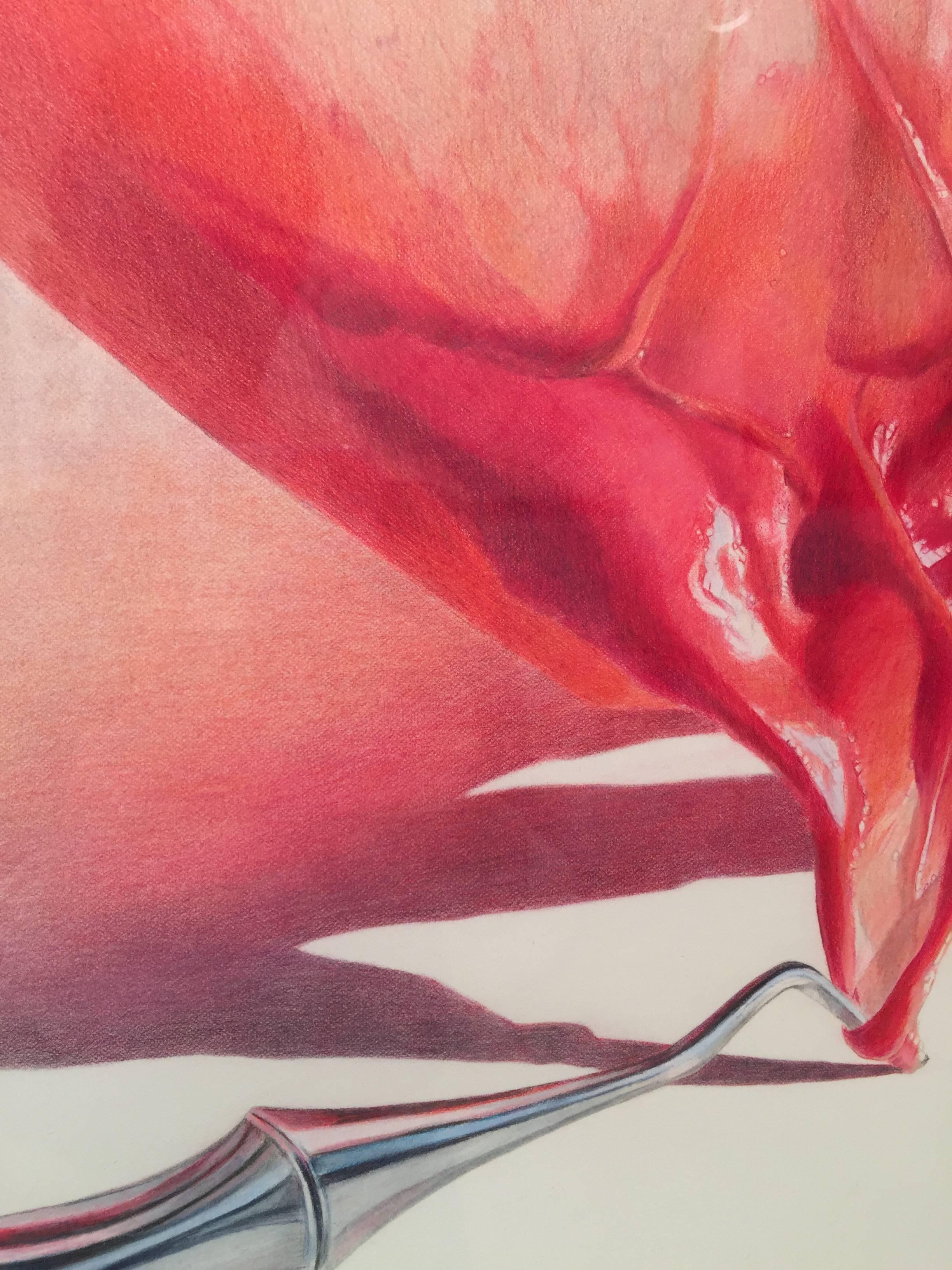 Julia Randall, Pulled Raspberry, Photorealist colored pencil drawing, 2013 3