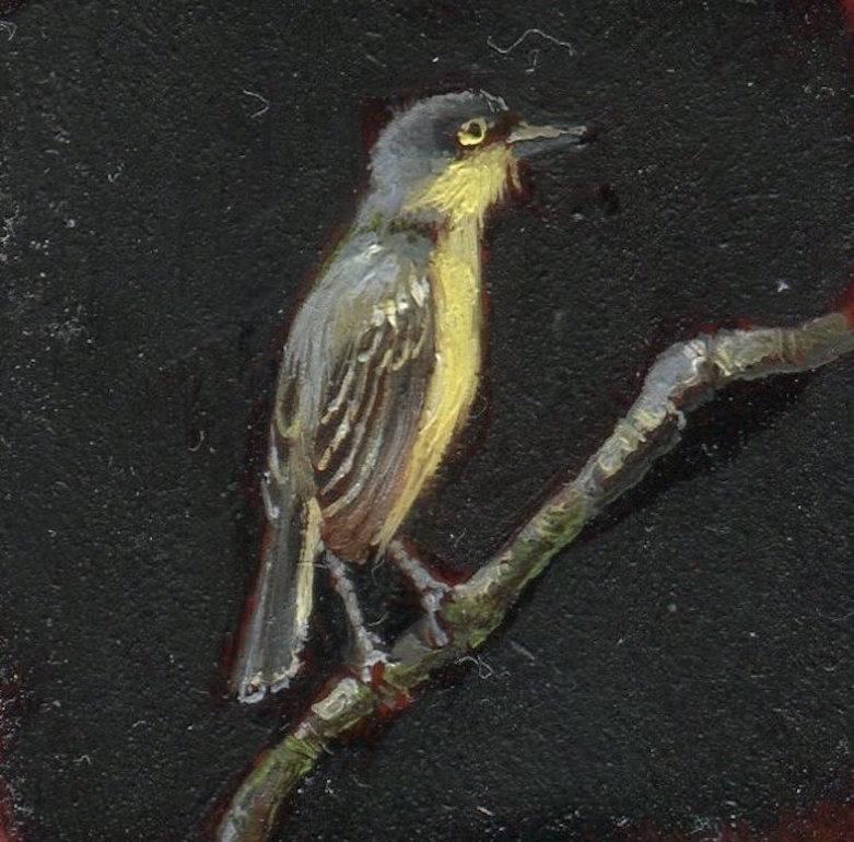 El óleo realista de Dina Brodsky sobre miniatura de animal en mylar, "Tiny Yellow" (Pequeño amarillo), 2018, representa un pequeño pájaro negro y amarillo posado en una pequeña rama. Las plumas negras y doradas del ave, de textura delicada, destacan