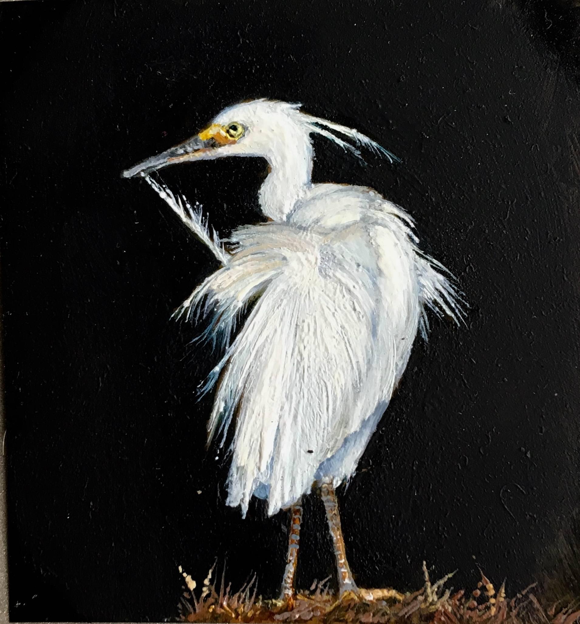 La miniatura realista di Dina Brodsky, "Egret", 2018, raffigura una garzetta che si prepara, con il collo elegantemente arcuato mentre raggiunge le ali più lontane. Le brillanti piume bianche dell'uccello sono messe in risalto dallo sfondo nero. La
