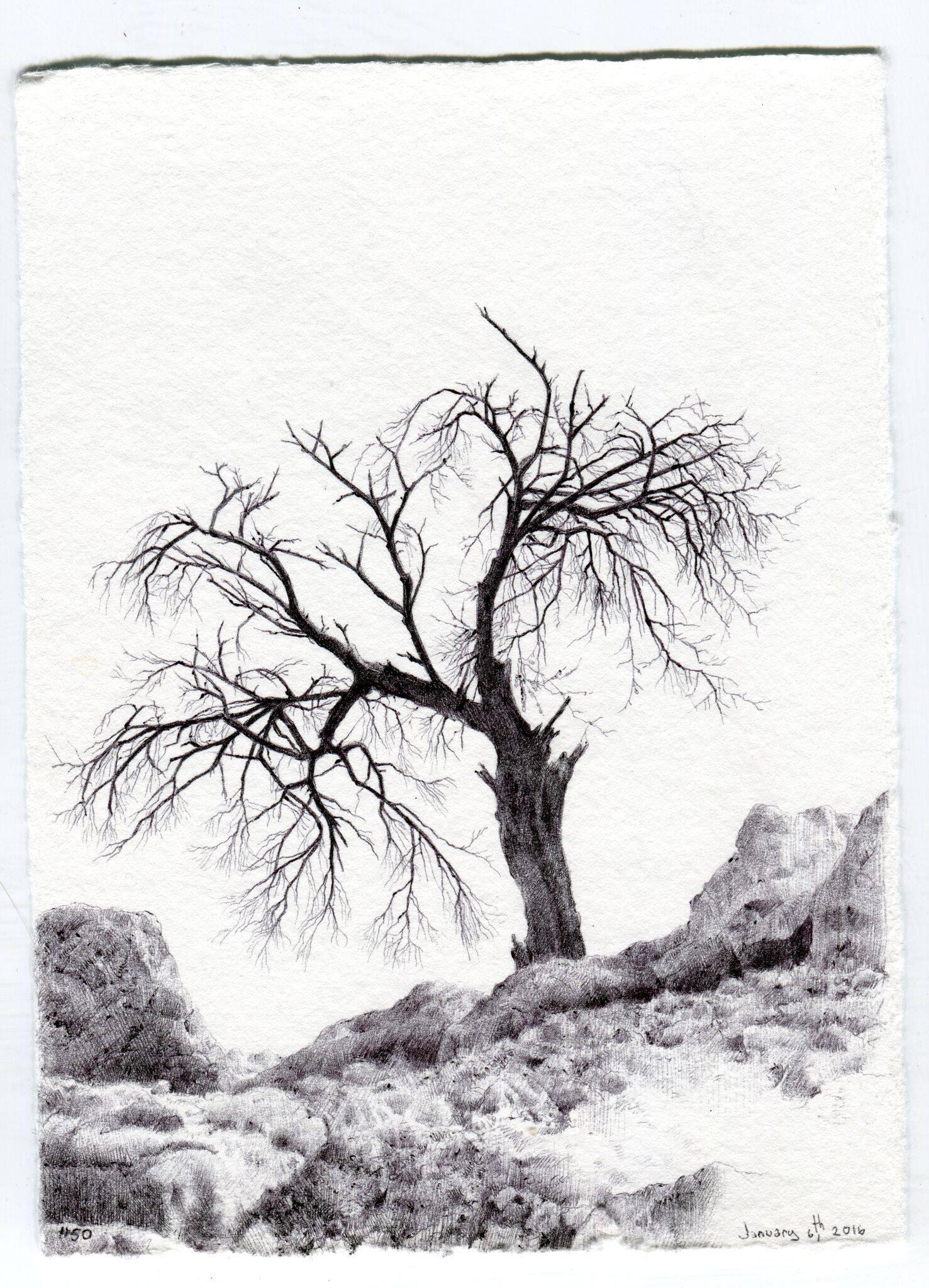 Dina Brodsky Landscape Art - Tree No. 50, March 15, 2016, contemporary landscape drawing with pen on paper