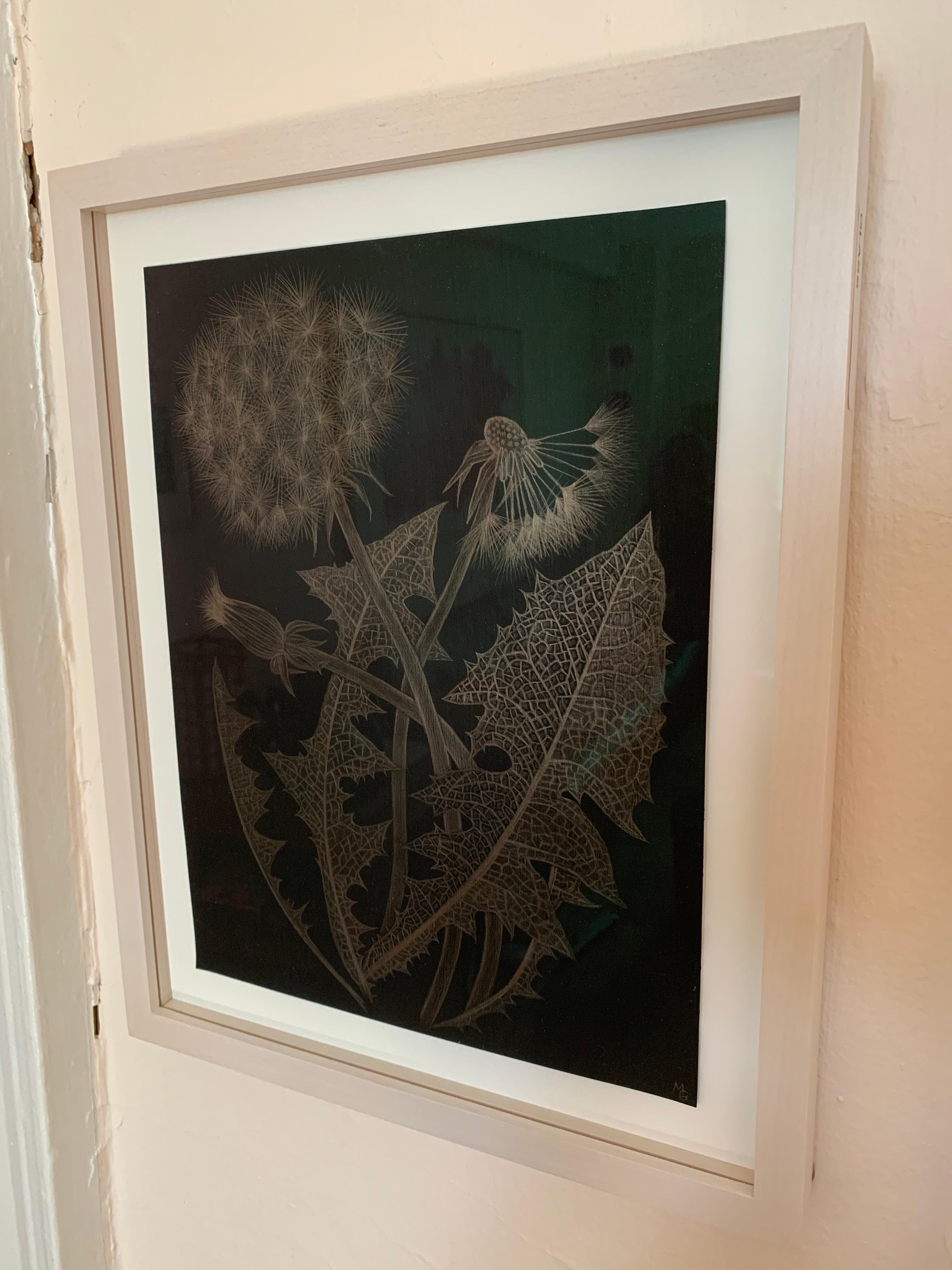 Margot Glass, Two Dandelions with Bud, realist goldpoint still-life, 2019 1
