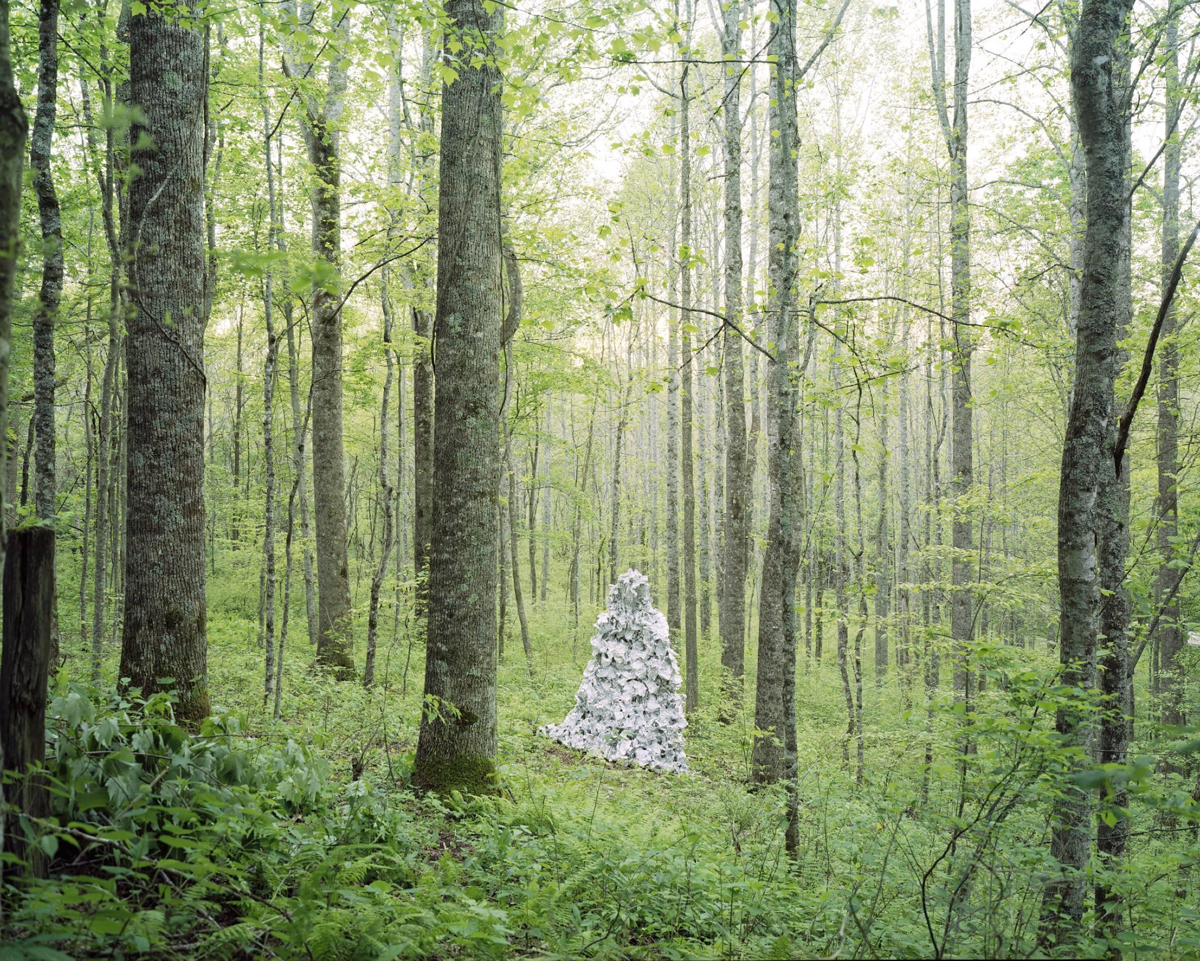 Reuben Cox Color Photograph - Lethe