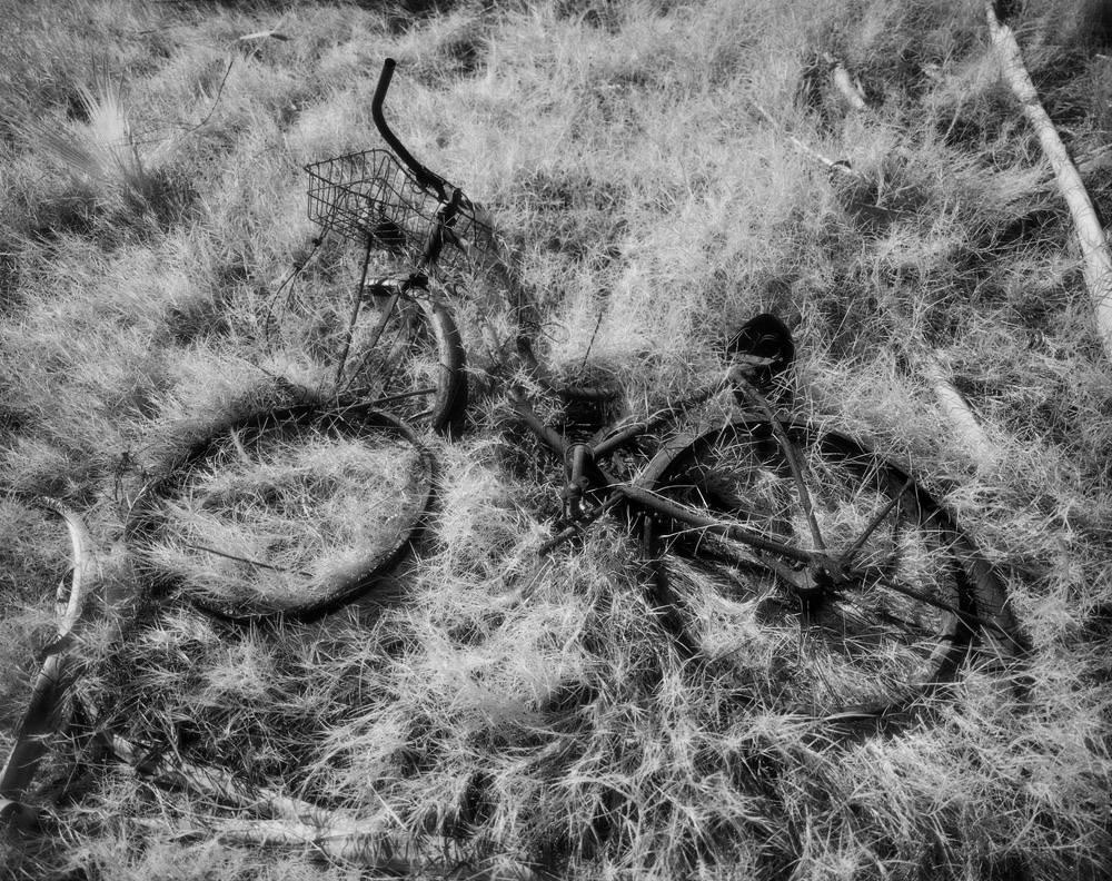 Cody S. Brothers Black and White Photograph - 4" in 5" 'Warm Spring Bicycle'