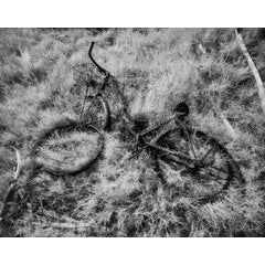 'Warm Spring Bicycle' 12