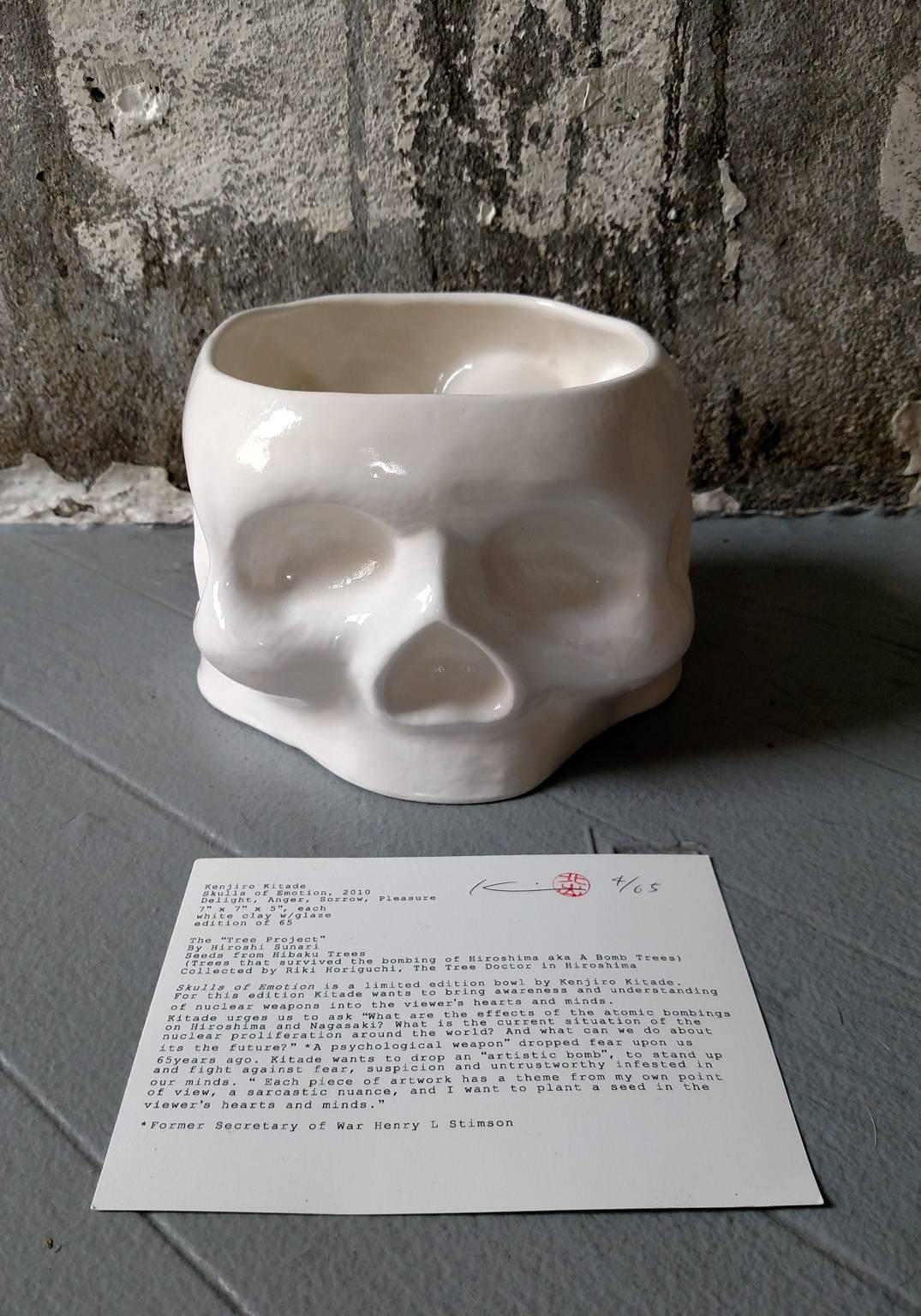 Skull of Emotion - Contemporary Sculpture by Kenjiro Kitade