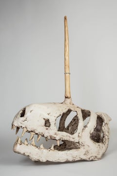 crâne d'adolescent en T-Rex avec « No Fear » éblouissant