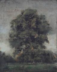Un arbre à Hyde Park 5