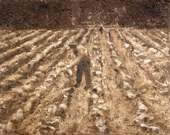 Anonymous Farmer (after Dorthea Lange)
