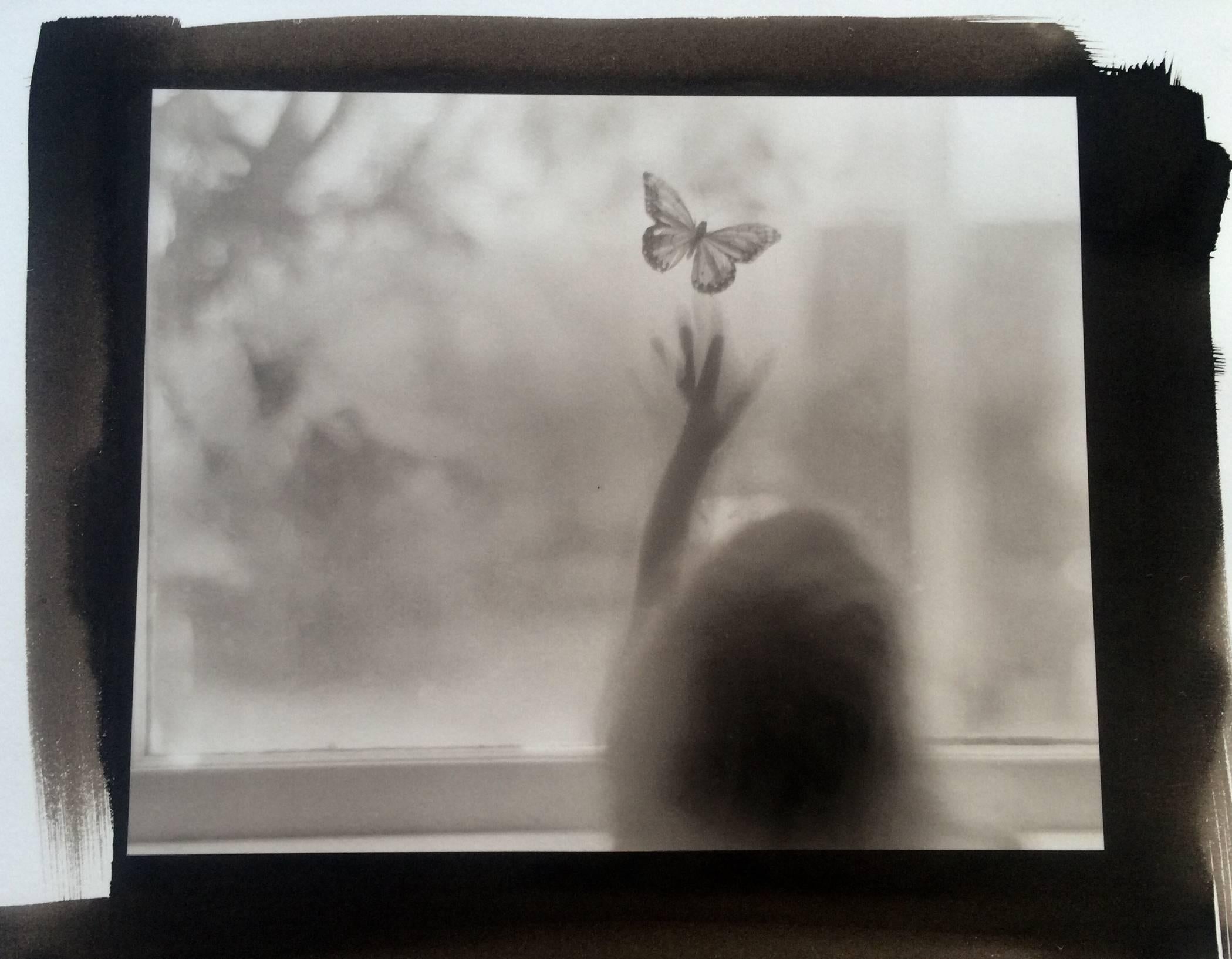 Mary West Quin Figurative Photograph - Hand of the Butterfly