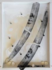 Magic Tusk Box / Bead and Bracelets