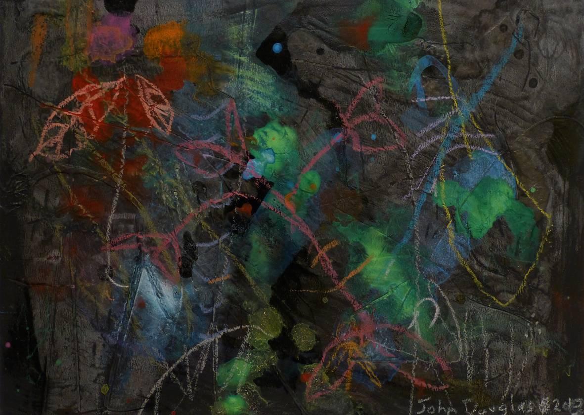 Midnight Garden Cycle 22 No. 18 - Mixed Media Art by John Douglas