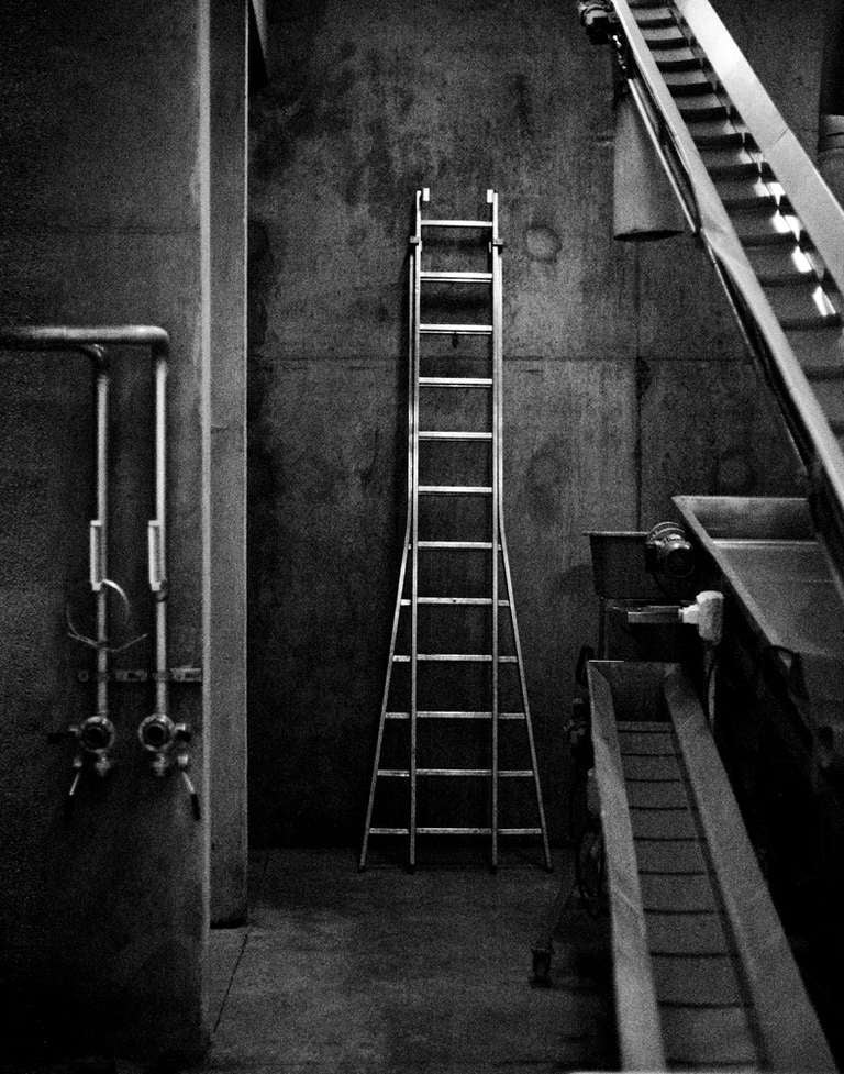 Ann George Black and White Photograph - Ladder for Wine