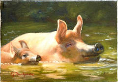 Swimming Pigs