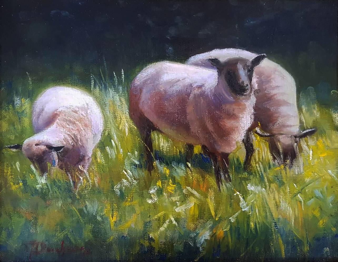Three Sheep - Painting by Mireille Duchesne
