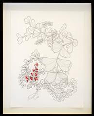 Ink Blooms (Red Dance)