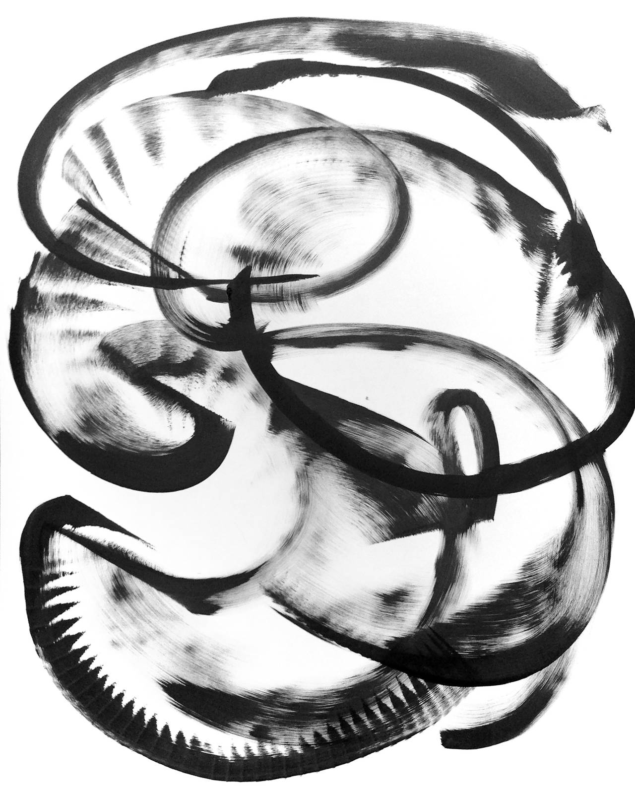 Thomas Hammer Abstract Drawing - Chamaecyparis Eureka - Original Black and White Abstract Calligraphy Painting