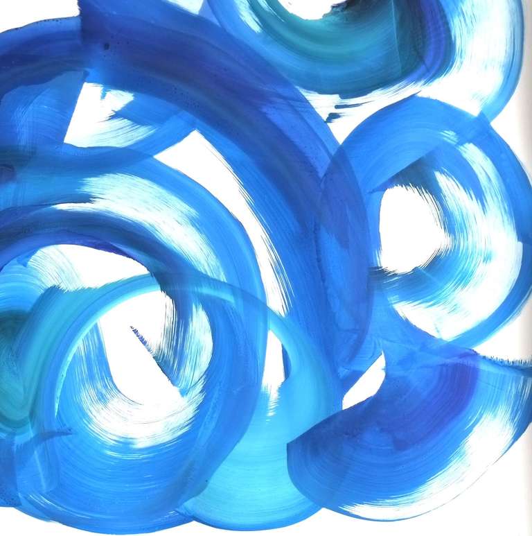 Acer Douglasense (incorniciato)