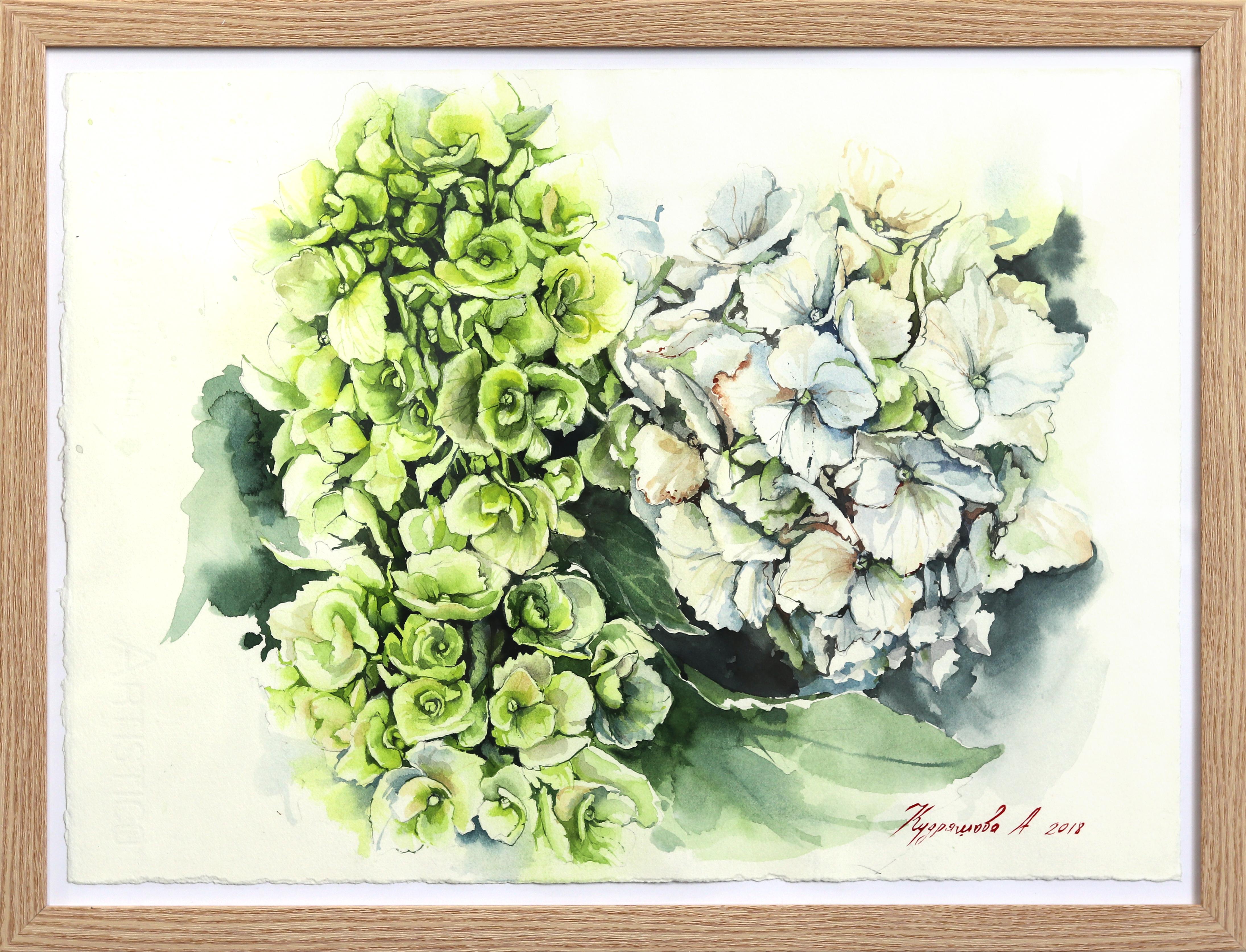 Green and White Hydrangeas - Floral Still Life Watercolor Painting