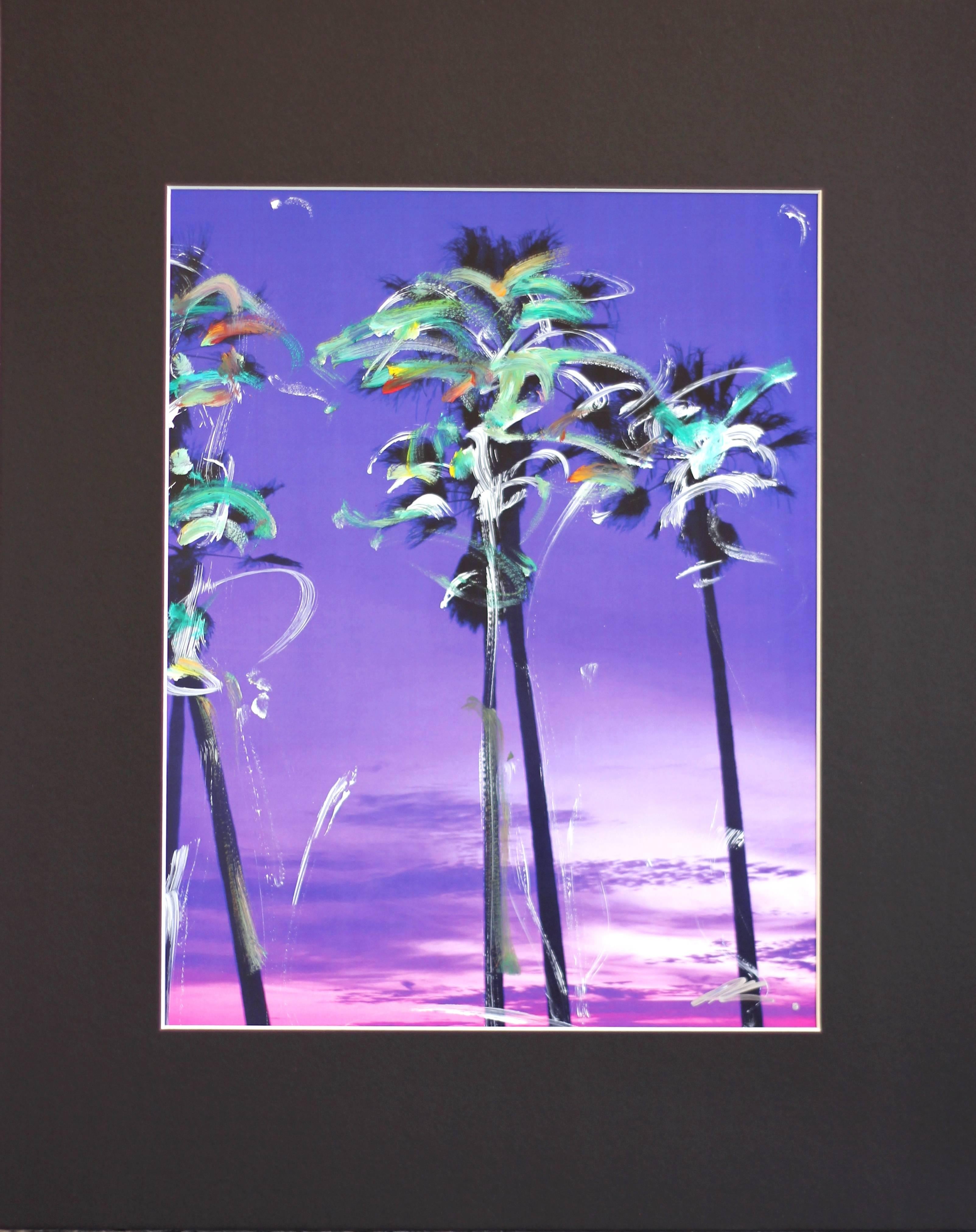 Palms Original #3 - Photograph by Pete Kasprzak