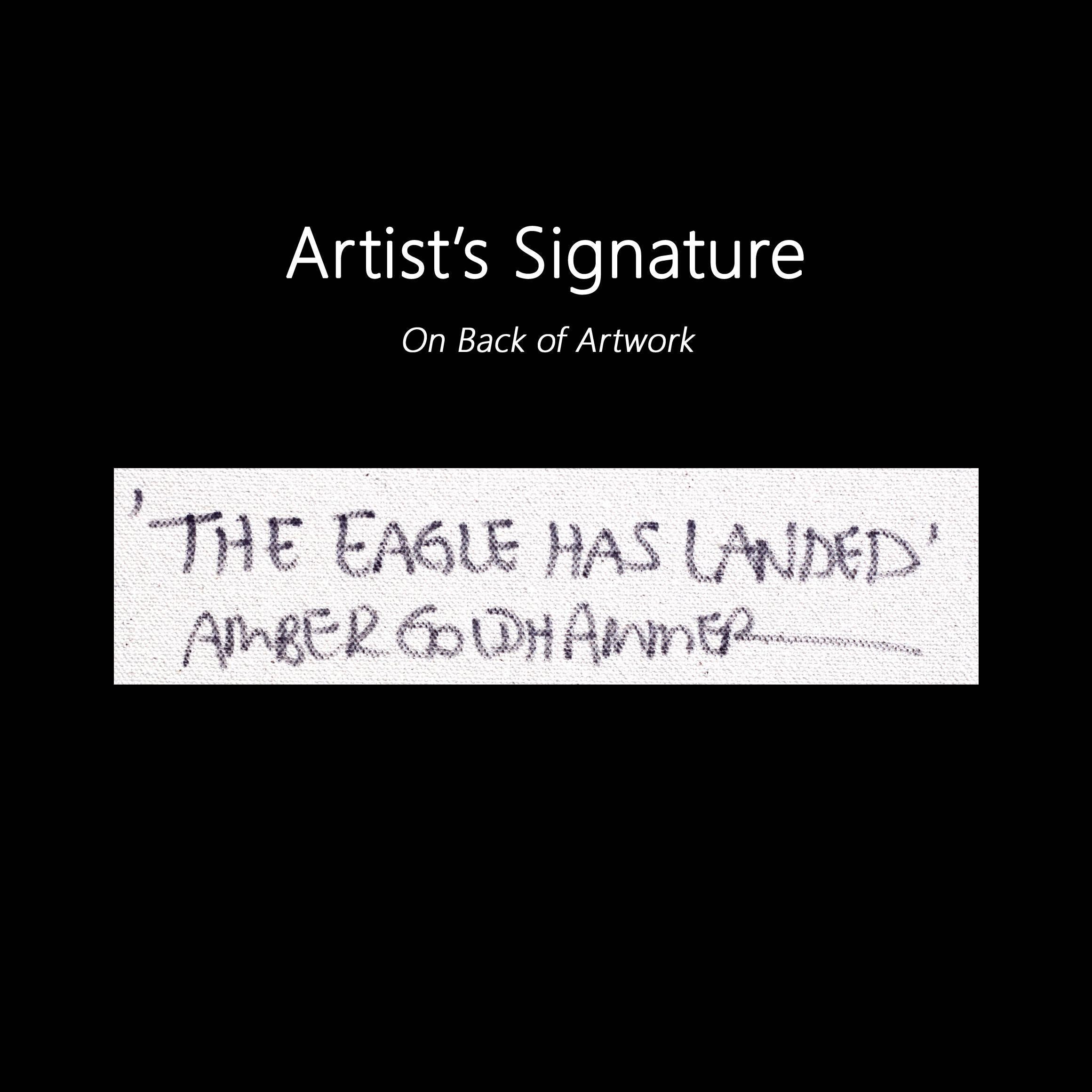 The Eagle Has Landed - Large Original Black and White Artwork 8