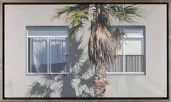 Palm (Mission)