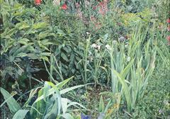 Gardens of Giverny