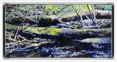 Fallen Trees (study)