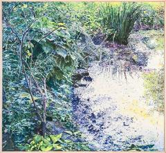 A Small Pond in Late Spring