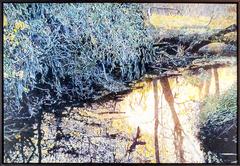 Reflections of Fall