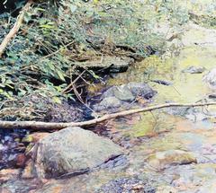 Saratoga Stream