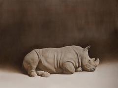Used Rhino, 2016