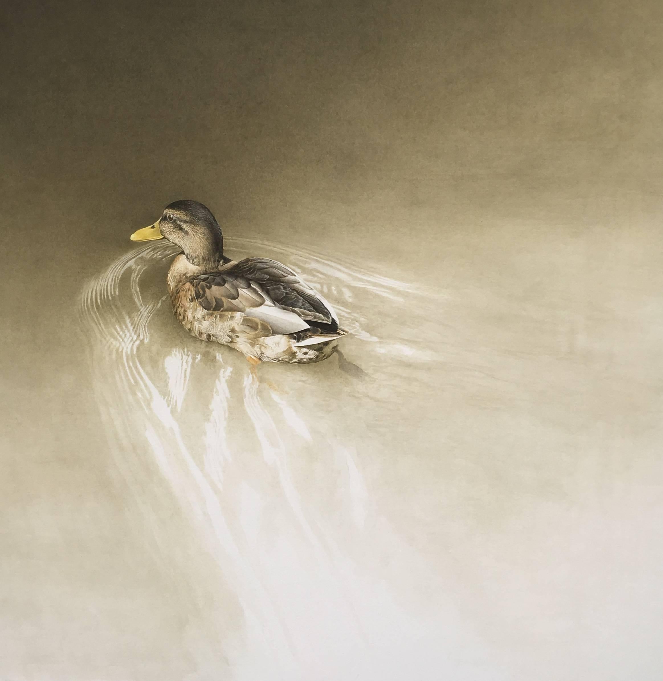 Marzio Tamer Animal Art - Duck