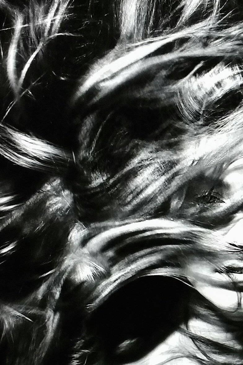 emanuele dascanio art price
