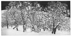 Etching of snow-clad plateau of birches