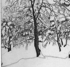 Etching of snow-clad plateau of birches