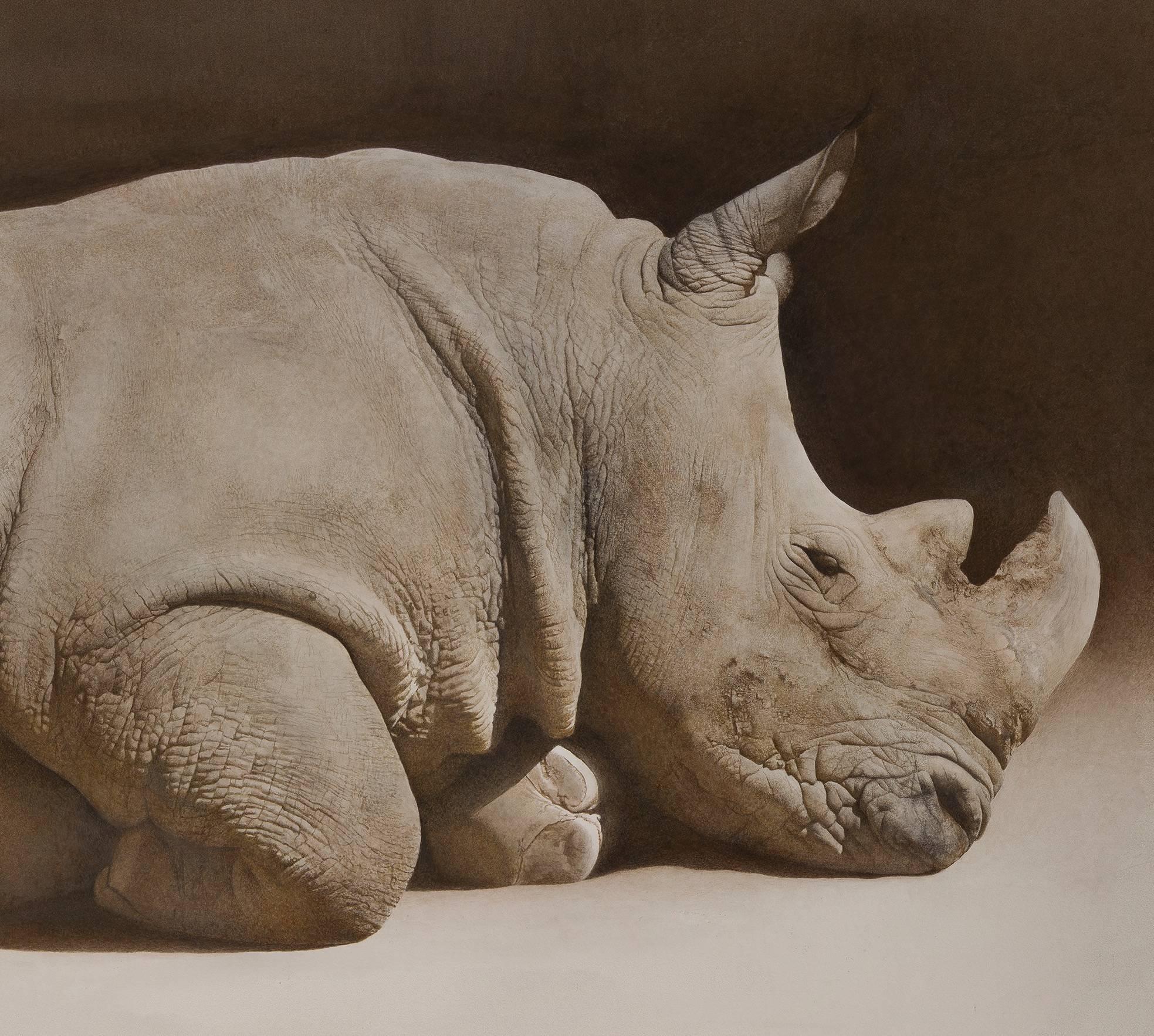 Rhino, 2016 - Art by Marzio Tamer