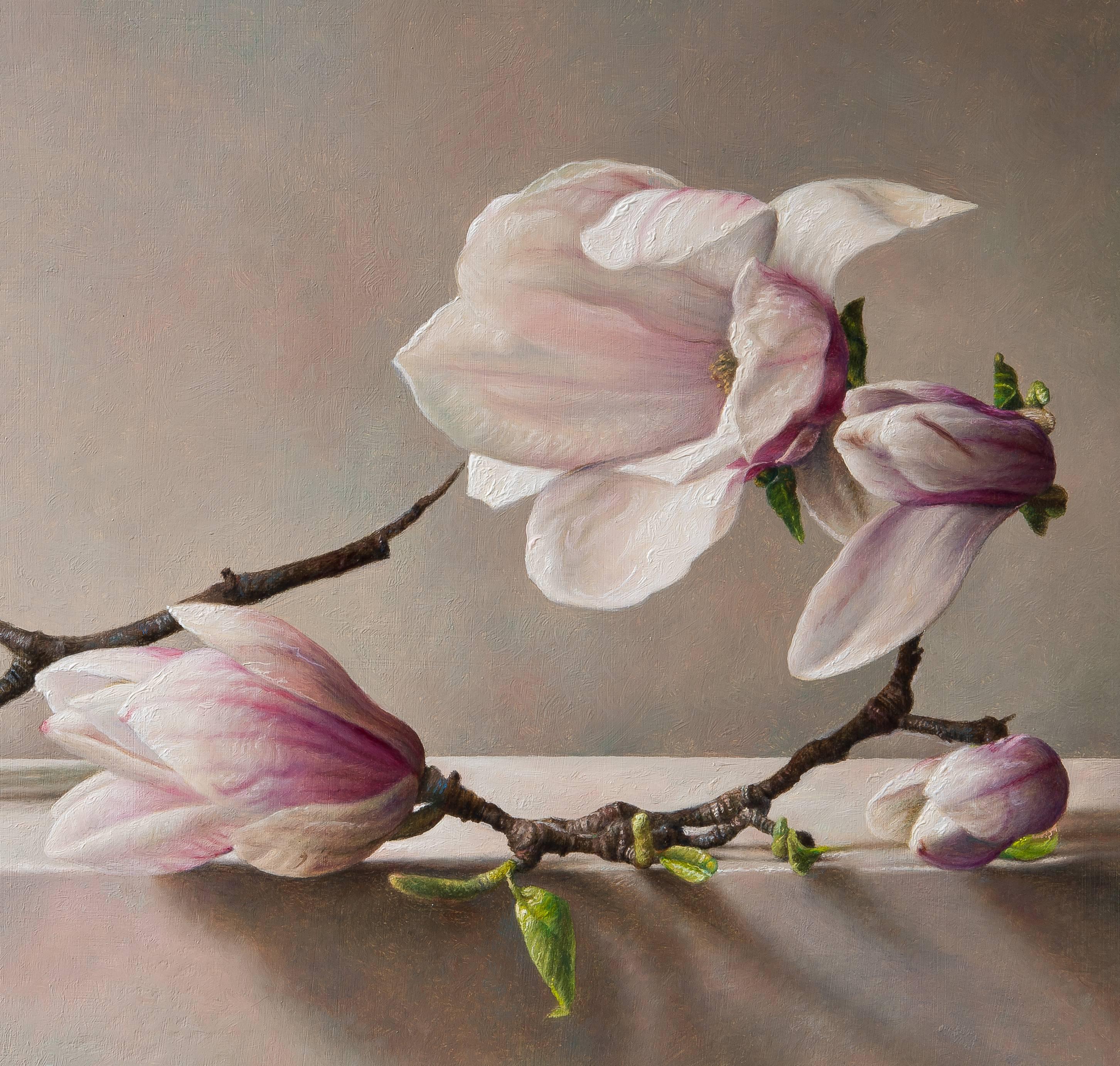 dutch tulip magnolia paint