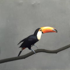 Toucan Contemporary Oil Painting