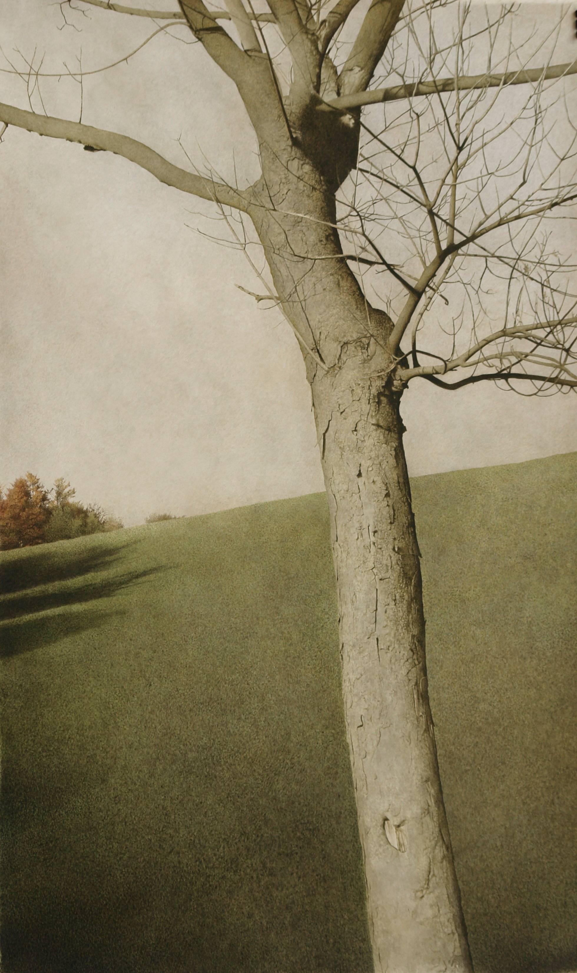 Marzio Tamer Landscape Art - Watercolor Contemporary Painting Autumn 