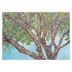 Elm Along The Bayou 8