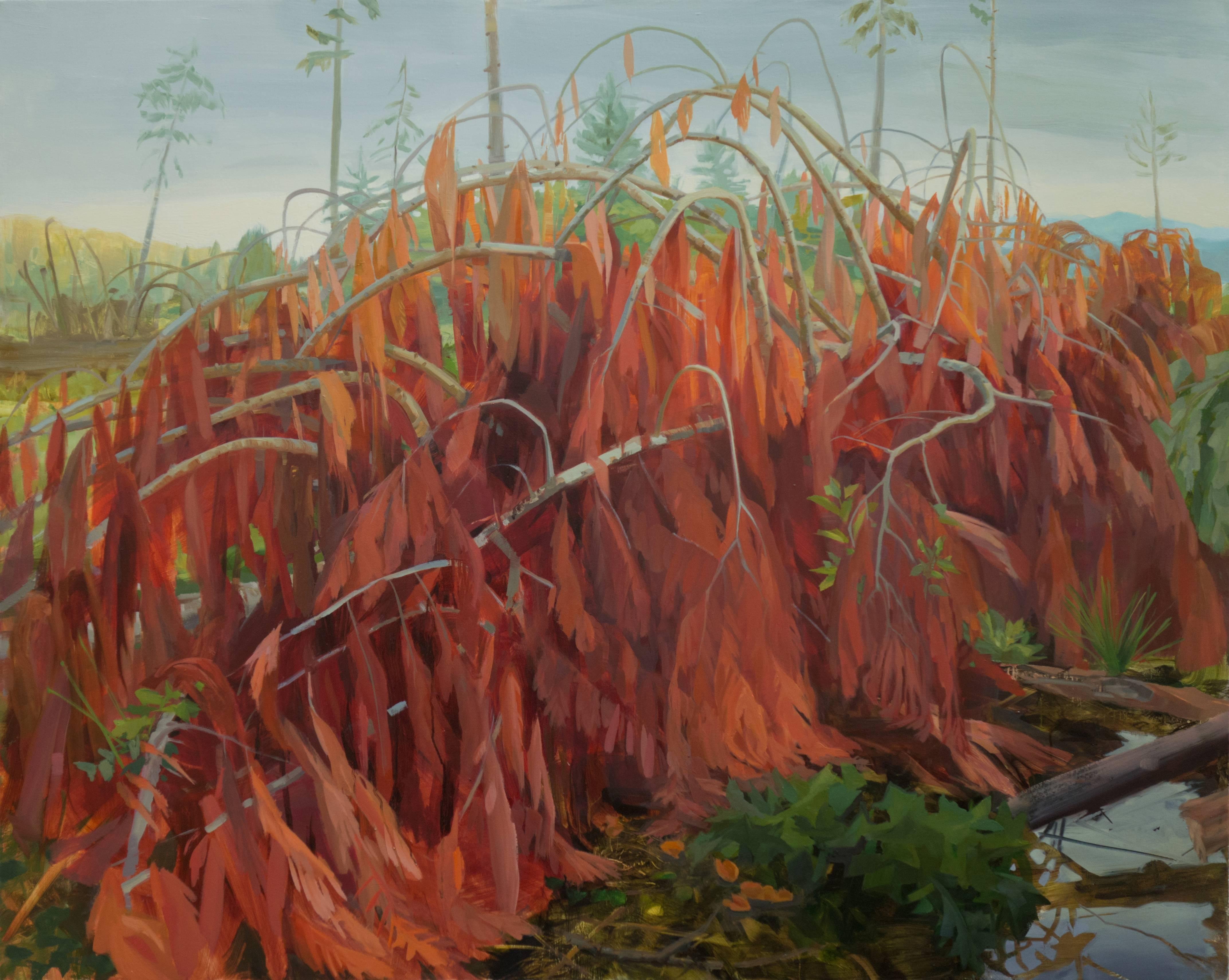 Kristin Musgnug Landscape Painting – Downed Cedar