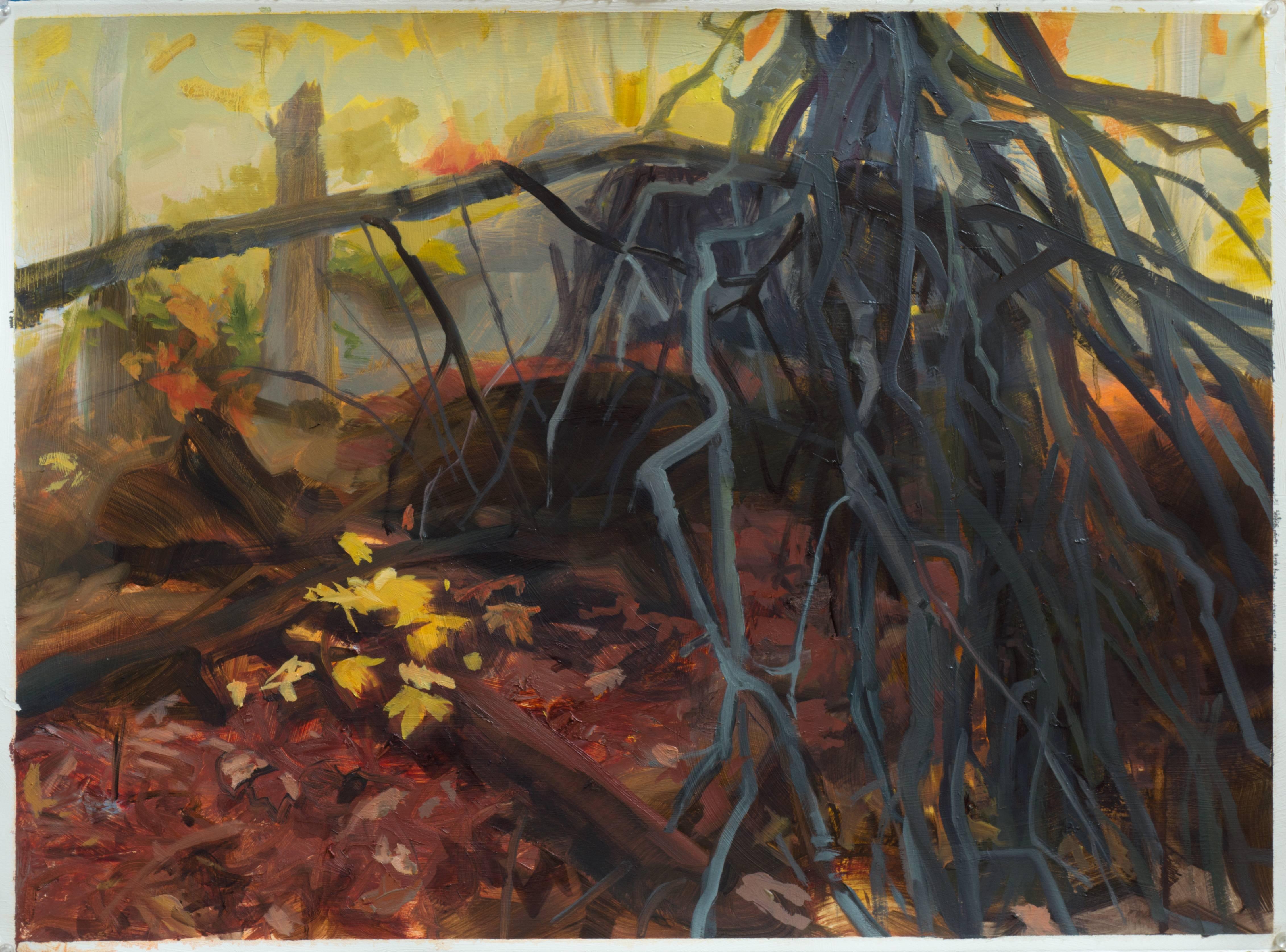 Kristin Musgnug Landscape Art - Fallen Trees